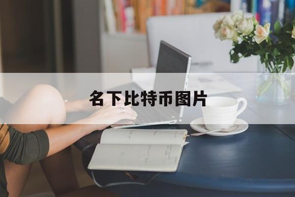 名下比特币图片(比特币名字的含义)